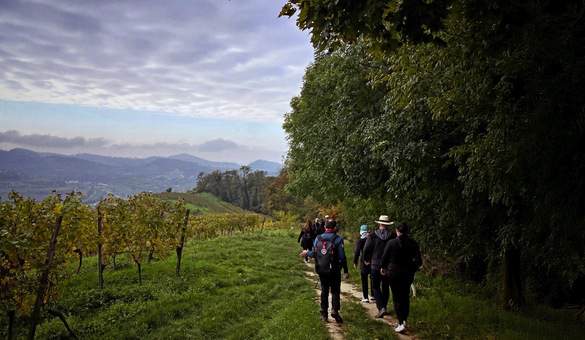AmaWaterways Hiking Excursions Rhine © AmaWaterways.jpg